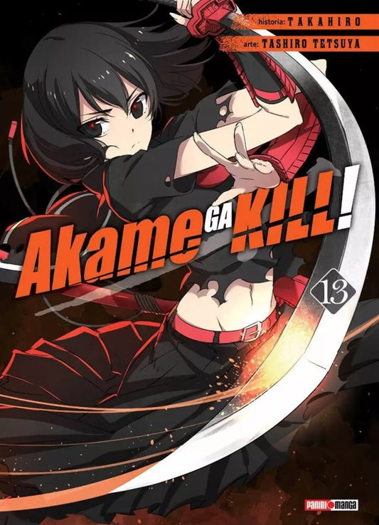 AKAME GA KILL 13