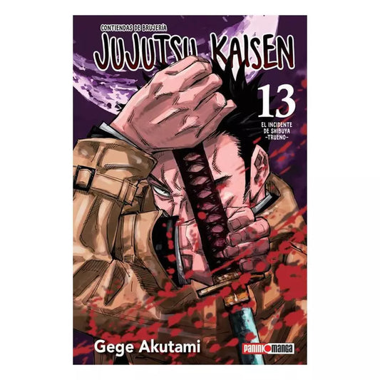 JUJUTSU 13