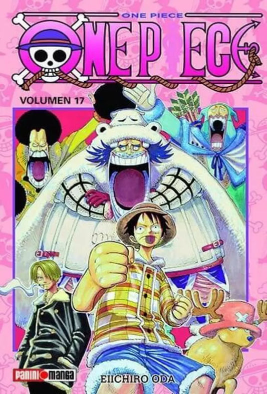 ONE PIECE 17