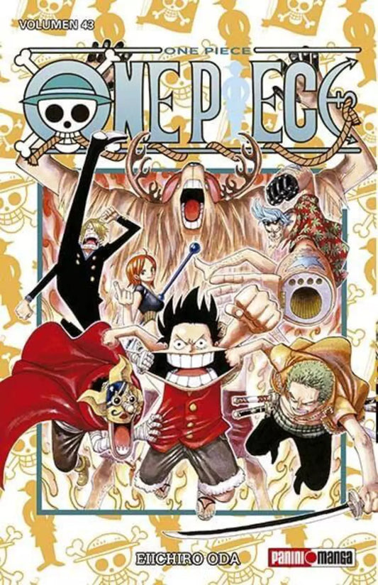 ONE PIECE 43